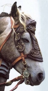 protection cheval